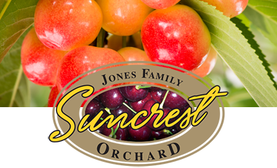Suncrest Jones Family Cherry Orchard Central Otago