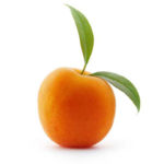Buy Central Otago Apricots Online directly from Orchard