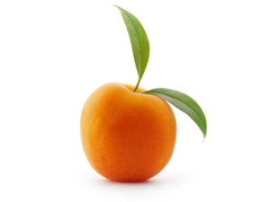 Buy Central Otago Apricots Online directly from Orchard