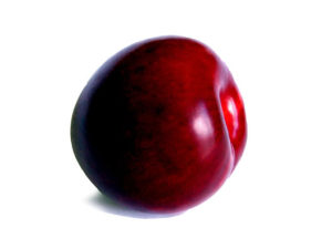 Buy Plums from the orchard direct - Suncrest Orchard at Mrs Jones Fruit Stall in Cromwell